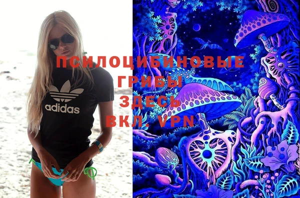 a pvp Алексеевка