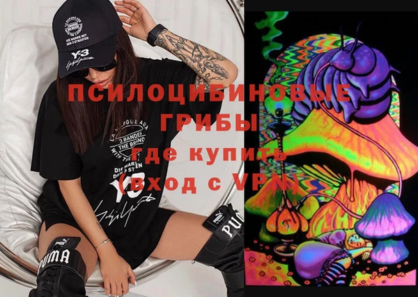 соль ск Алексин
